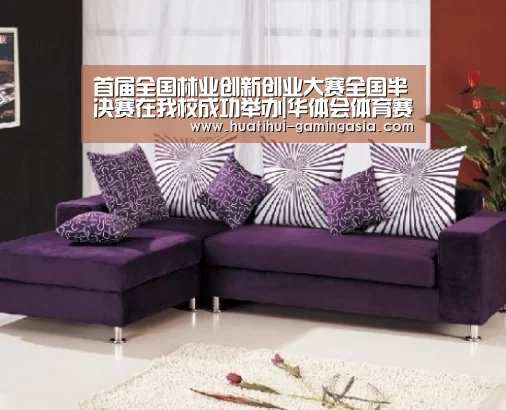 首届全国林业创新创业大赛全国半决赛在我校成功举办|华体会体育赛事直播(图2) 华体会足球竞猜
