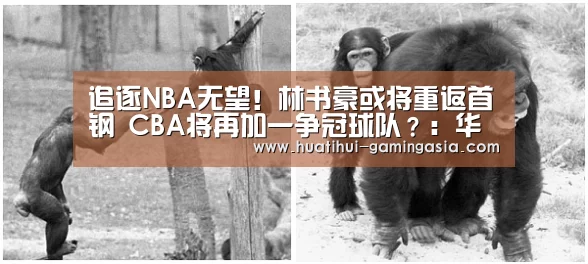 华体会体育赛事直播